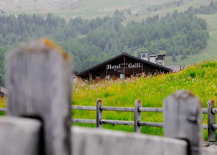 Hotel Galli